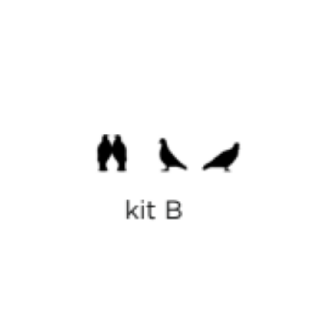 kit B +€115